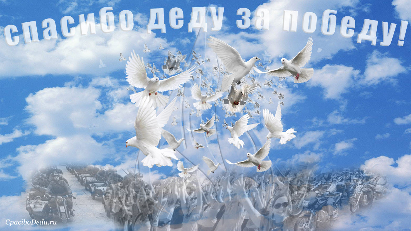 День победы мирного неба. Мирное небо. Мирное небо голуби. Мирного неба над головой.